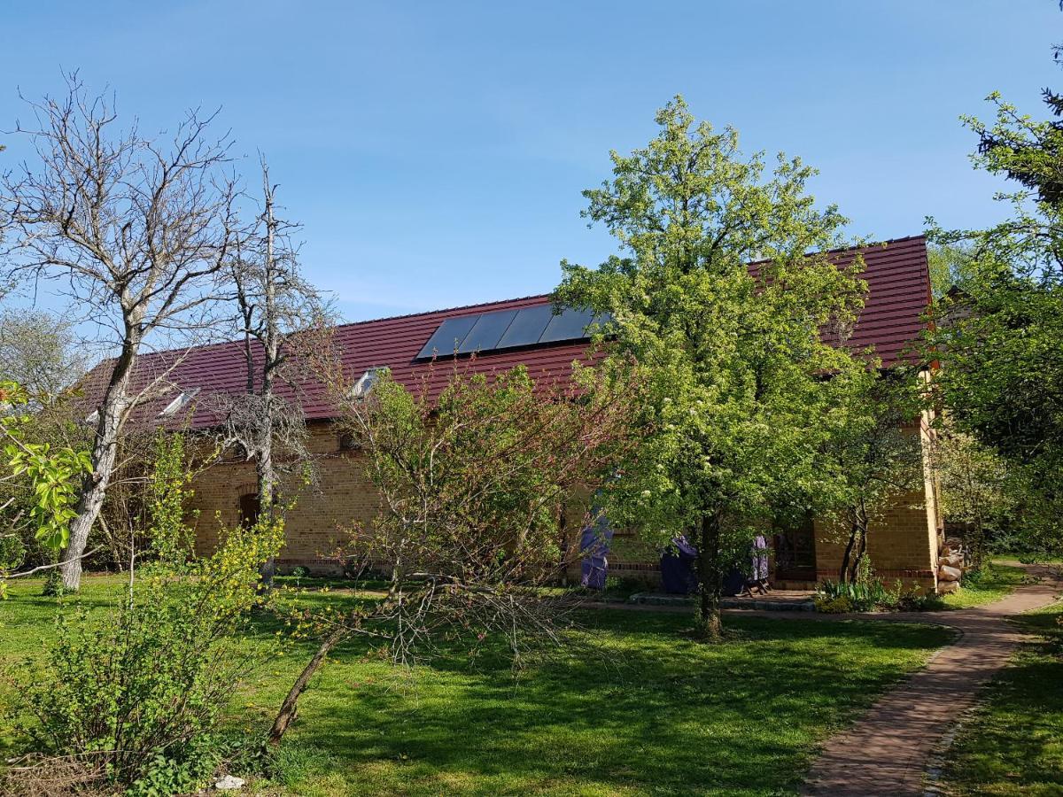 Ferienhaus Auf Dem Hof Lechner Drieschnitz 外观 照片